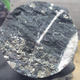 The rock sample containing the cyanobacteria.